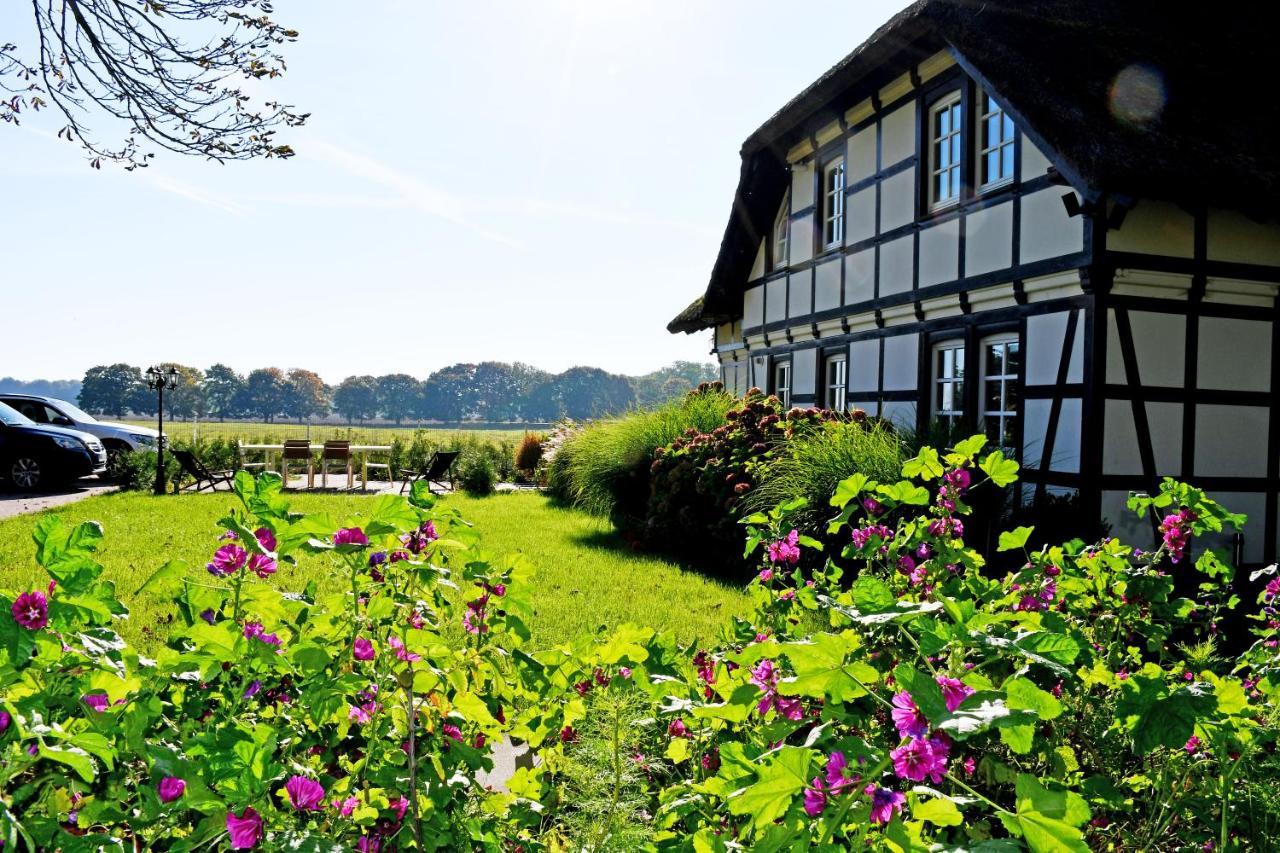 Reetdachfachwerkvilla Am Wiesengrund Bergen Auf Rugen Exteriör bild